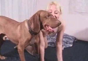 Nasty fucking for a really cute doggo XXX fun