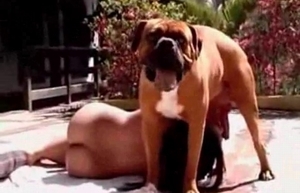 Insatiable slut gets facefucked by a really good puppy