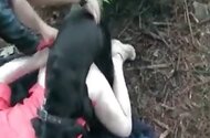 Zoo Animal Sex