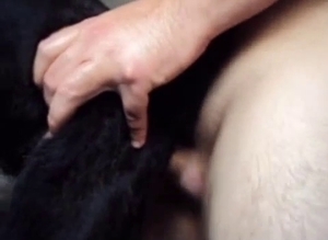 Black dog hard fucked by a filthy zoo lover