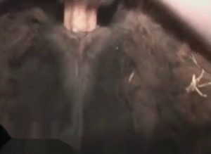 Insatiable man wants to have nasty sexy with an animal