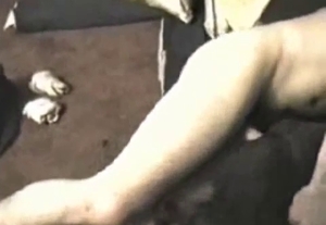 The large testicles of this black dogs are inspected
