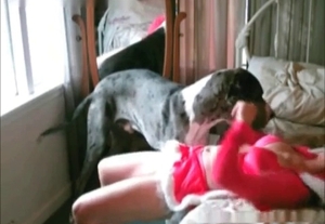 Bedroom is a good place for bestiality XXX sex