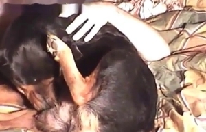 Dirty man fucked his own trained pitbull