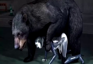 3D bestiality video featuring a bear