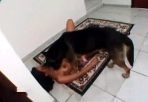 Tanned Latina is gonna fuck a dog