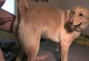 Kinky dog getting fingered and fucked
