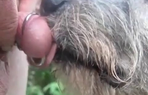 Deformed dick dude fucking animals