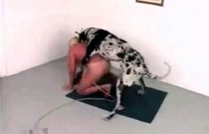 This dog is gonna fuck her real hard