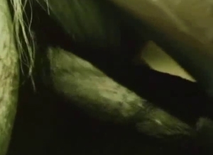 Horses enjoying hardcore sex outdoors