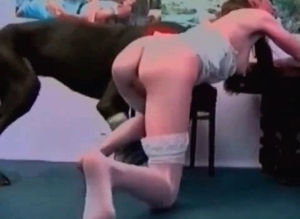 Stockings-clad babe licked by a dog
