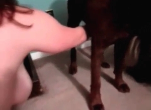 Dog sex bestiality in the homemade tape