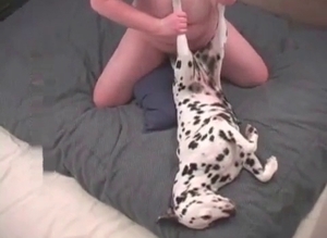 Giving into dog-fucking temptation