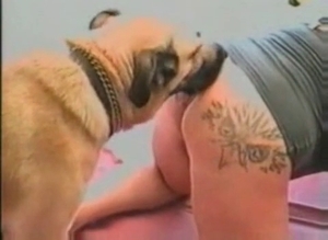 Zoophilic sex action in HQ
