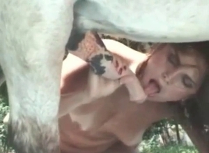 Dog molests a shy chick