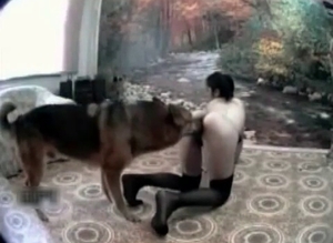 Dog enjoys a skinny zoophile slut