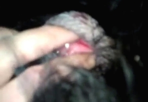 Passionate fingering for a horny animal