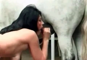 Brunette sucks her playful stallion on cam