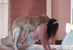 Bedroom is a perfect place for the nasty bestiality sex