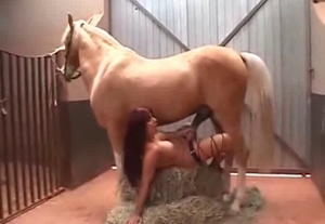 Impressive bestiality action in the barn